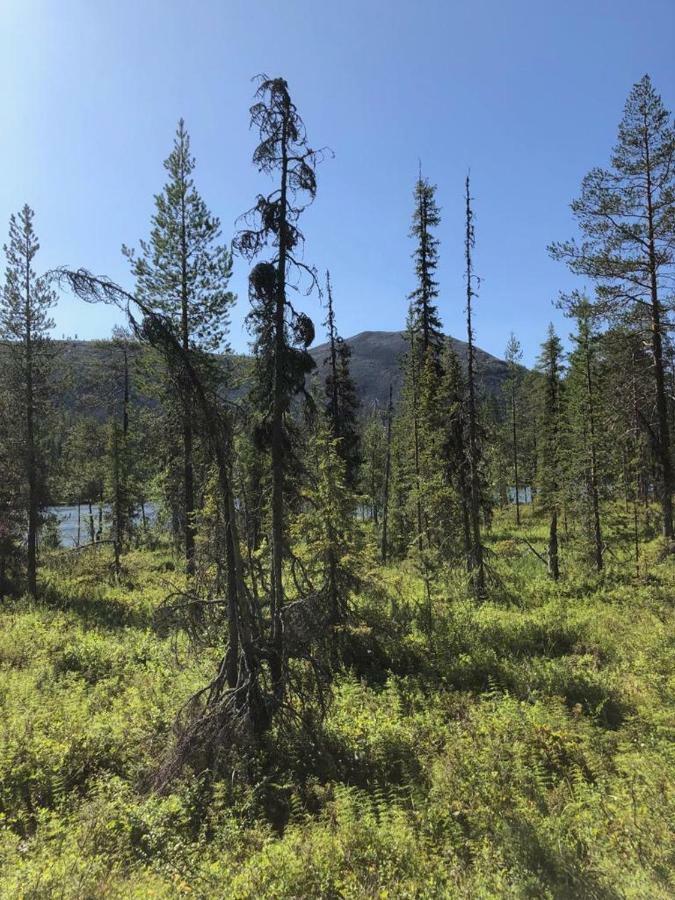 Yllaes Suistotie Cottage Äkäslompolo Eksteriør bilde